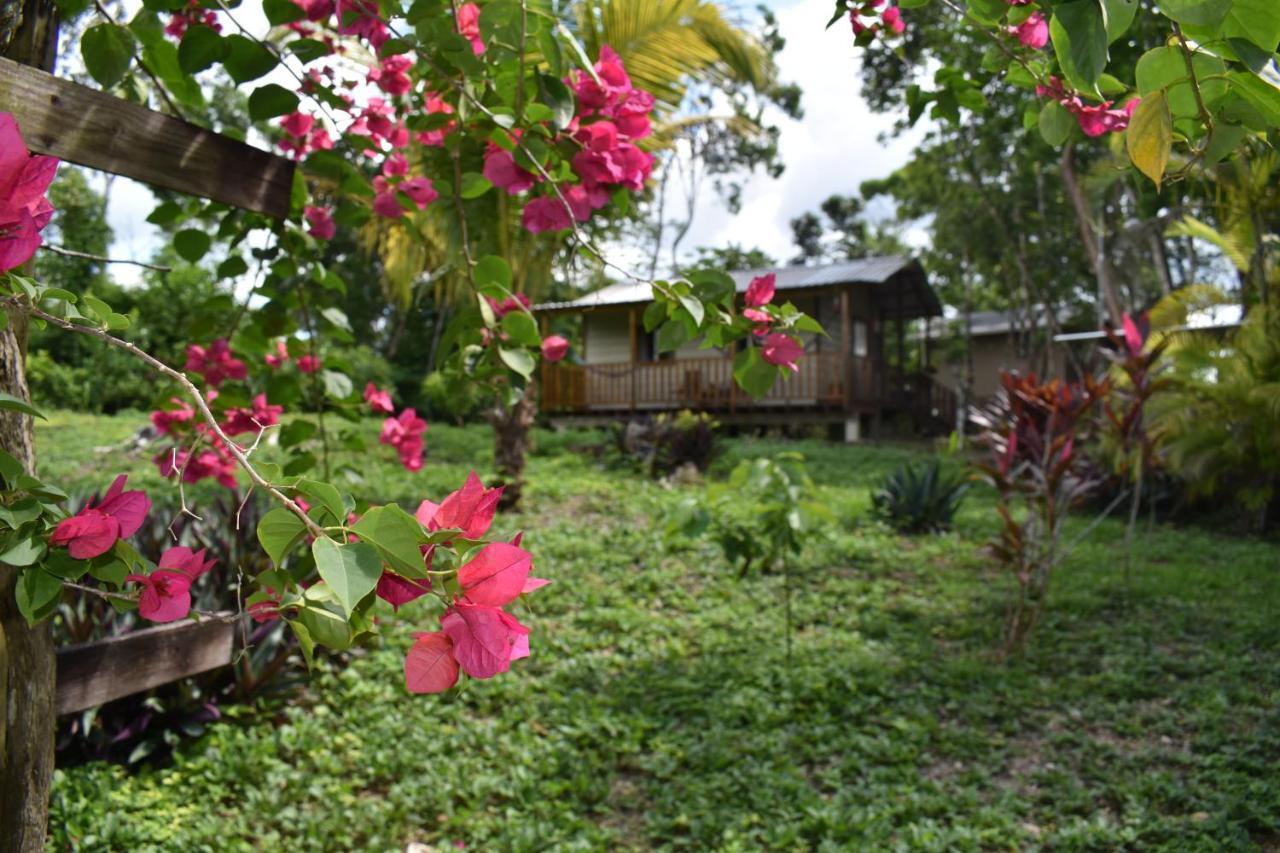 Albergue Hidden Haven Unitedville Exterior foto